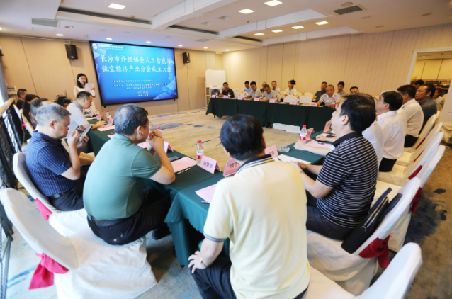 AI赋能低空,聚势长沙、扬帆出海 一长沙市对外经济合作企业协会人工智能和低空经济产业分会成立